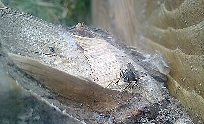 С наступающим!